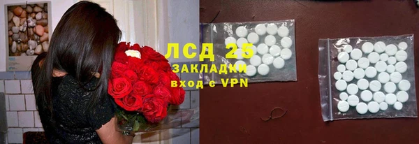 винт Алзамай