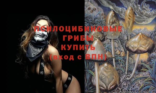винт Алзамай
